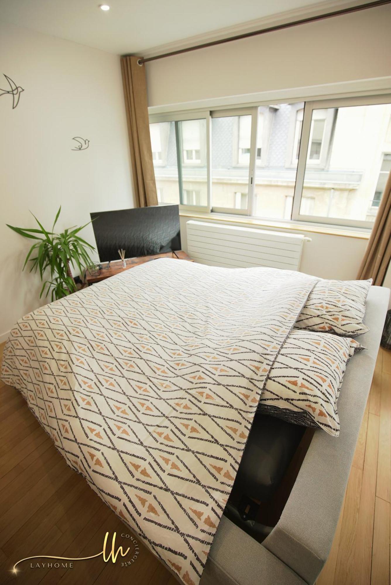 Chaleureux, Lumineux Et Confortable F2 Renove En Plein Coeur De Nancy Kültér fotó